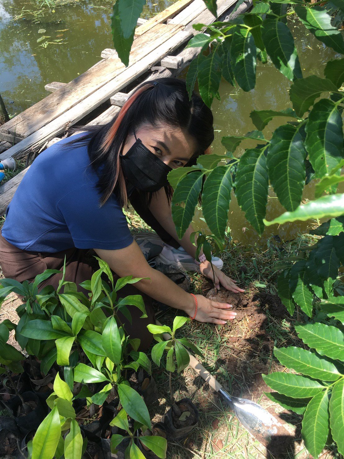 ร่วมปลูกต้นไม้ เนื่องในโอกาสวันคุ้มครองโลกและวันต้นไม้ประจำปีแห่งชาติ