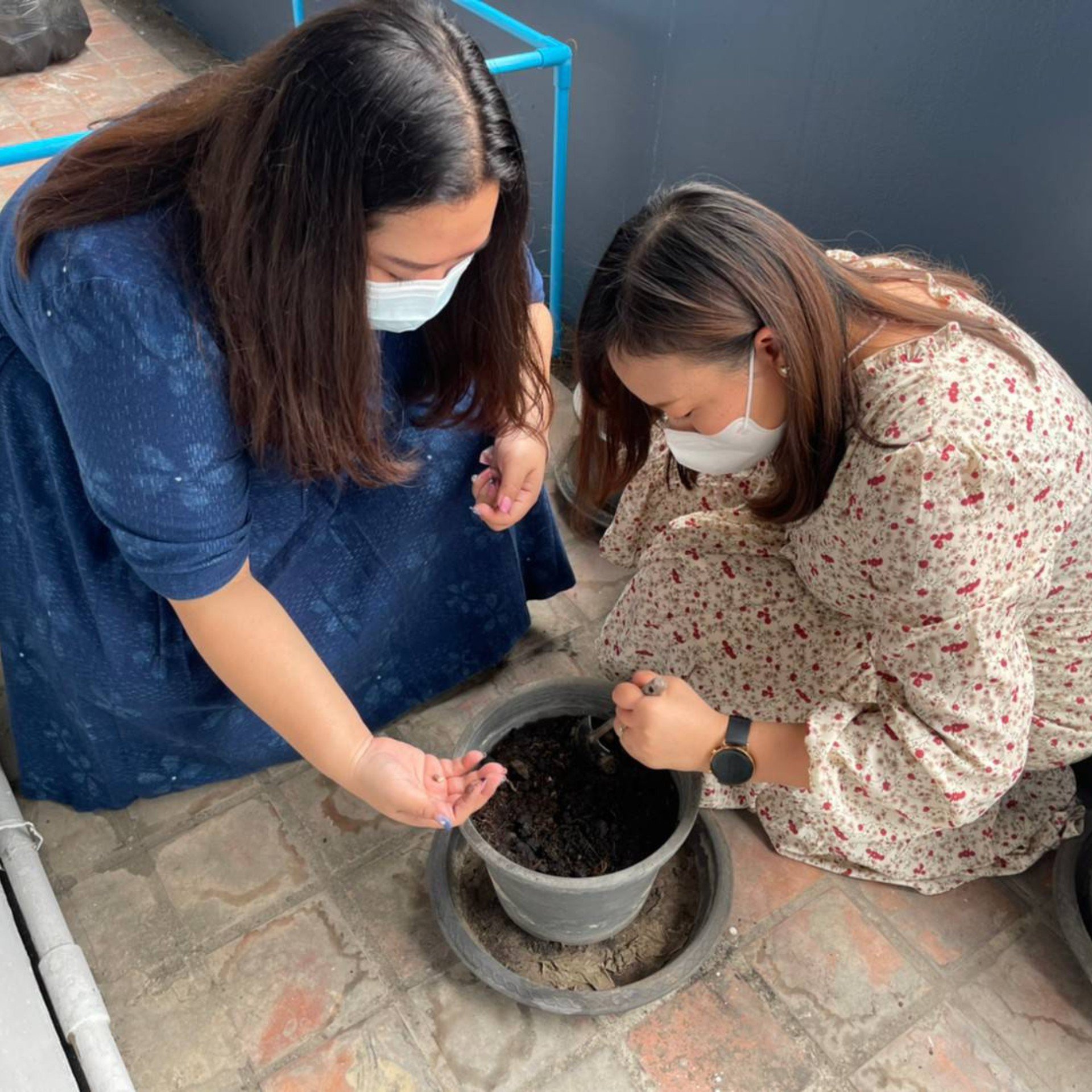 ศส.กสอ ร่วมกิจกรรม ศส. ปันรักปลูกผักกินเอง เพื่อลดรายจ่าย สร้างความพอเพียงให้กับบุคลากร