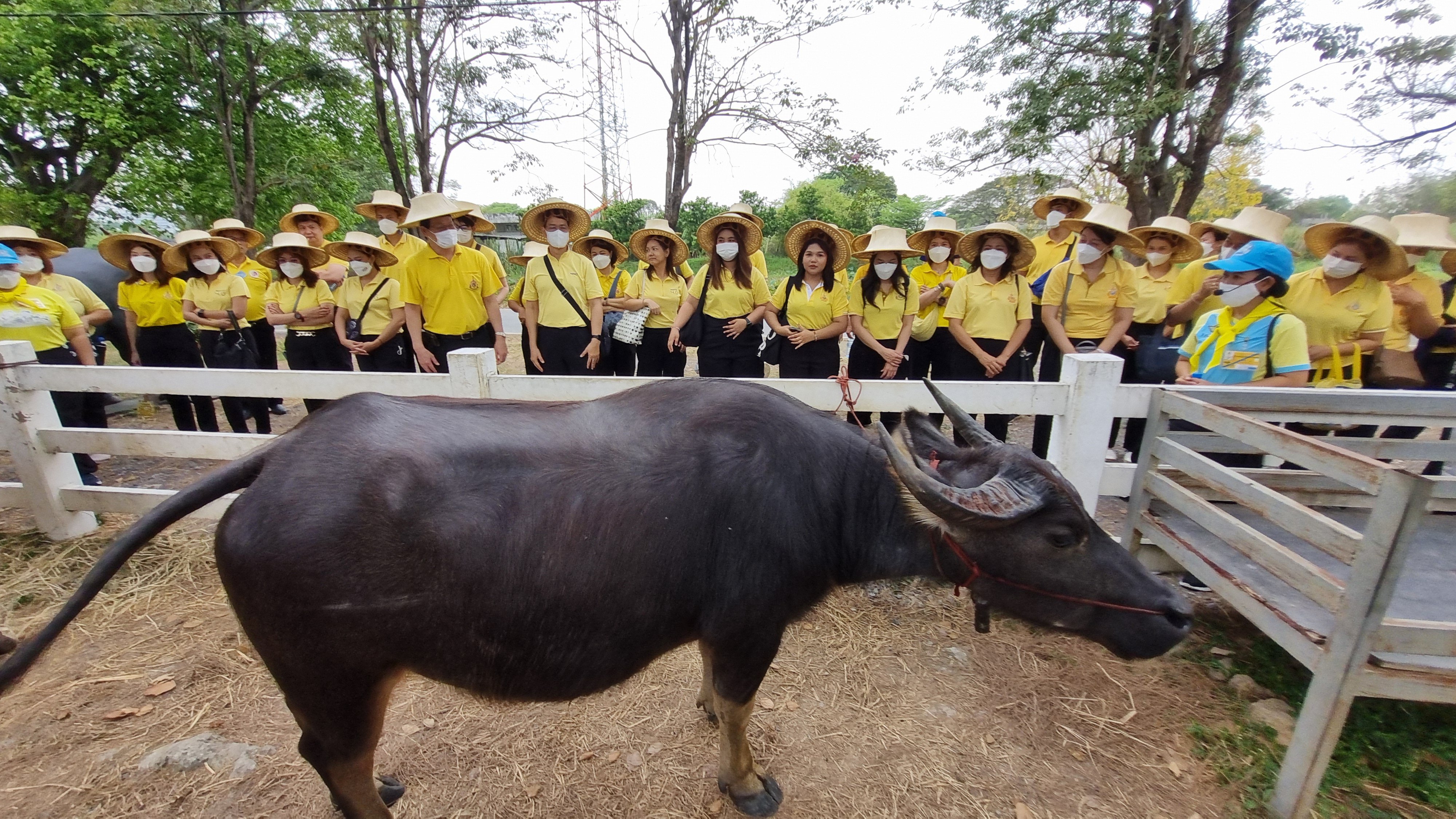 ศส.กสอ. ร่วมกับ กข.กสอ. เข้าร่วมอบรมฝึกปฏิบัติและศึกษาดูงานเศรษฐกิจพอเพียง 